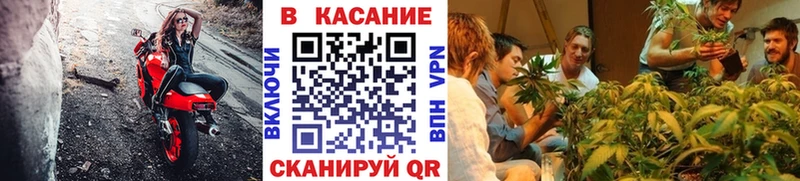 Наркошоп Дмитровск МАРИХУАНА  Меф  АМФЕТАМИН  Гашиш  Кокаин  МЕТАМФЕТАМИН  Alpha PVP 