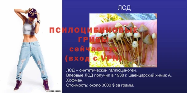 круглые Алзамай