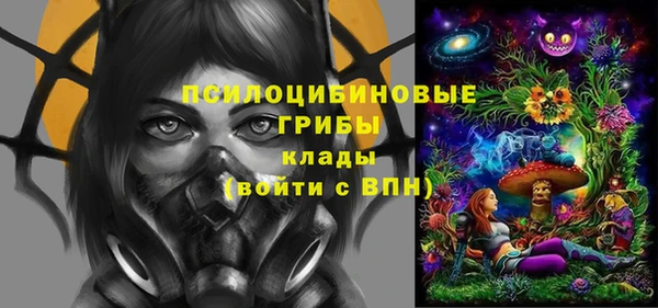 круглые Алзамай