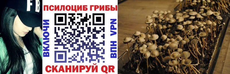 Псилоцибиновые грибы MAGIC MUSHROOMS  Дмитровск 